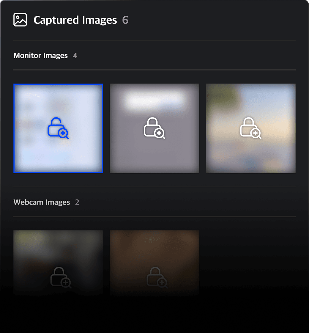 Webcam and monitor capture UI